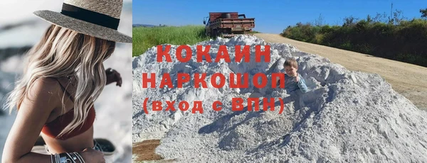 крисы Няндома