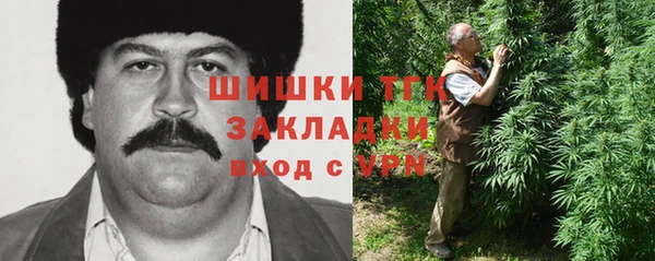 шишки Нягань