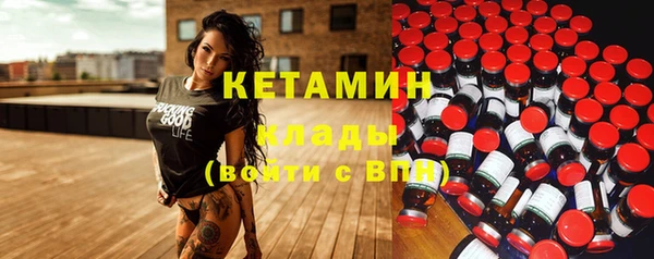 крисы Няндома