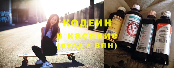 крисы Няндома