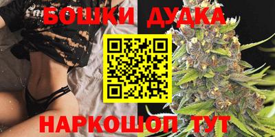 Альфа ПВП Нальчик